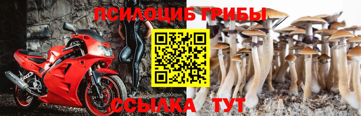 Красноармейск  Галлюциногенные грибы GOLDEN TEACHER  Вход с VPN 