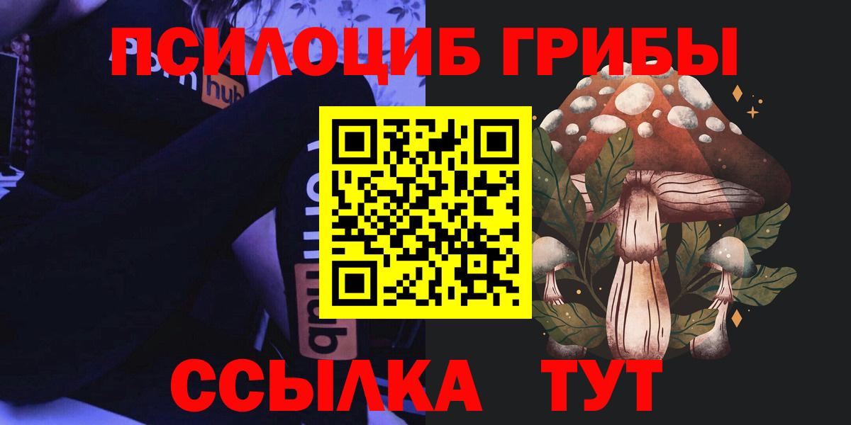 Галлюциногенные грибы Psilocybine cubensis Красноармейск